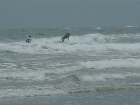 atention au surfeur