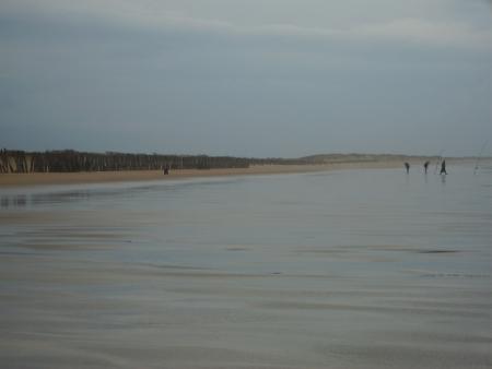 alala la plage